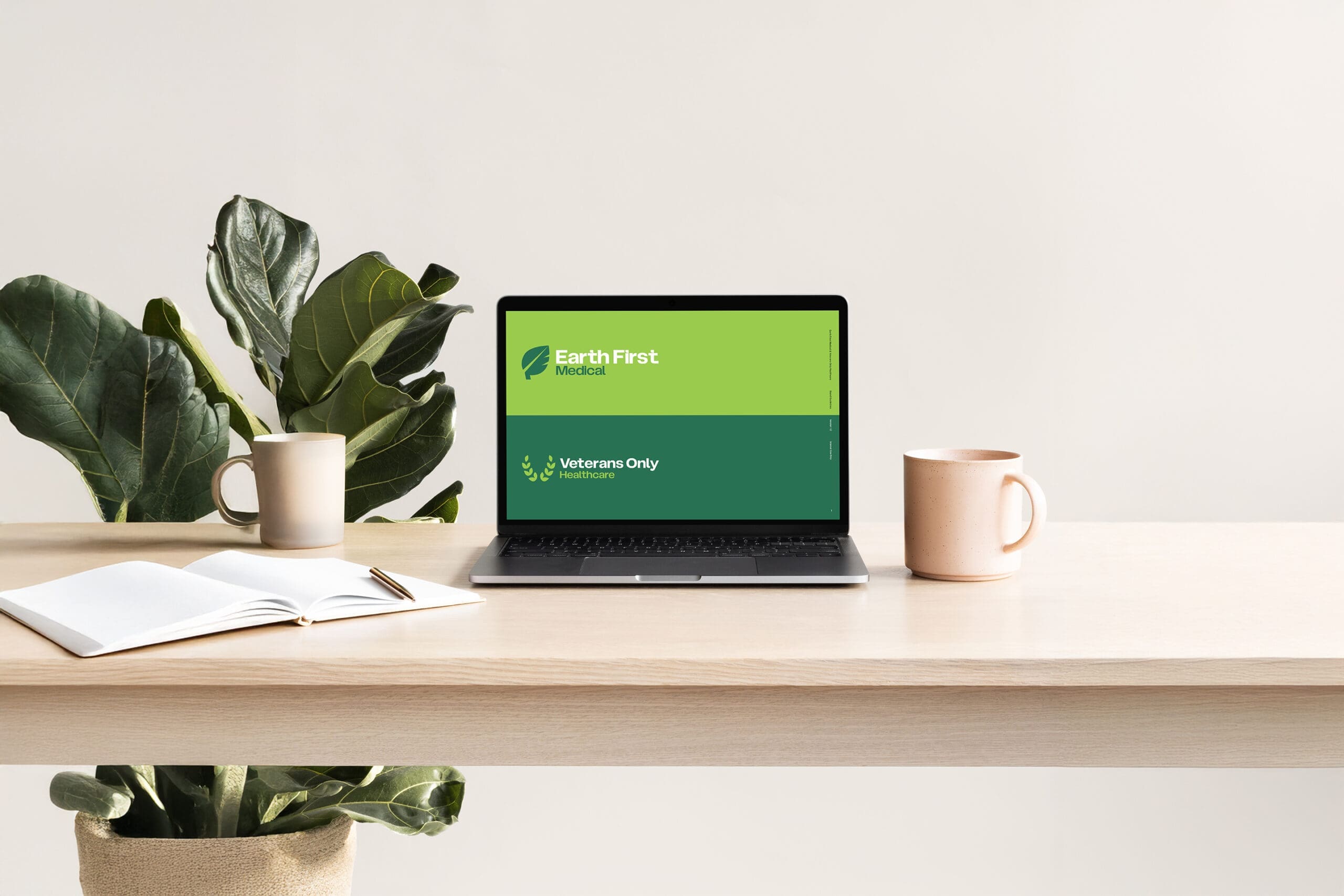 Earth First Medical and Veterans Only Healthcare Brand Identity Development by Spacey Studios